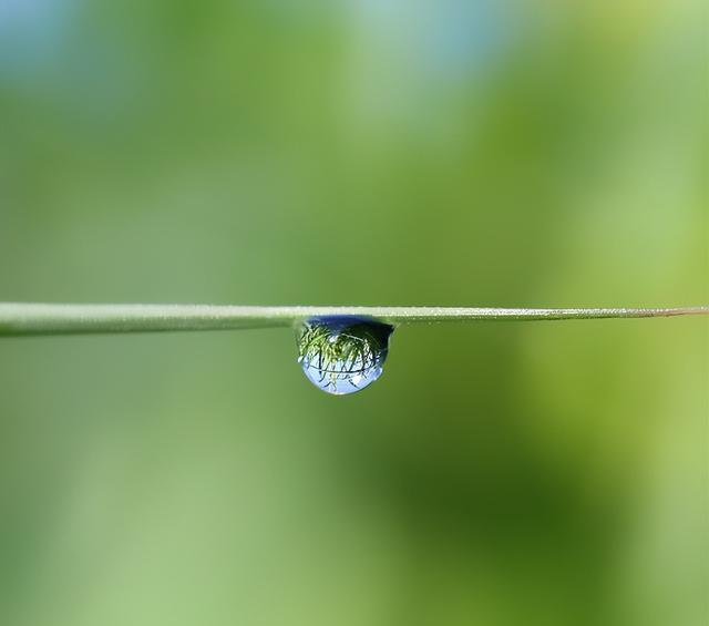 水滴摄影技术和设备:微距摄影,光线控制和稳定性技巧