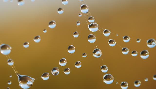 水滴摄影技术和设备:微距摄影,光线控制和稳定性技巧