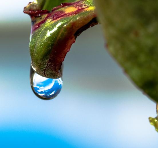 水滴摄影技术和设备:微距摄影,光线控制和稳定性技巧