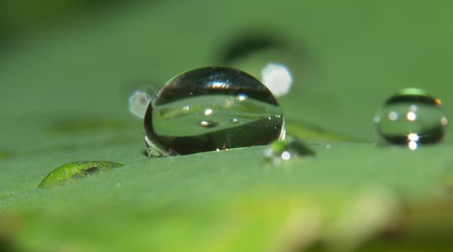水滴摄影技术和设备:微距摄影,光线控制和稳定性技巧