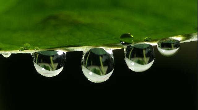 水滴摄影技术和设备:微距摄影,光线控制和稳定性技巧