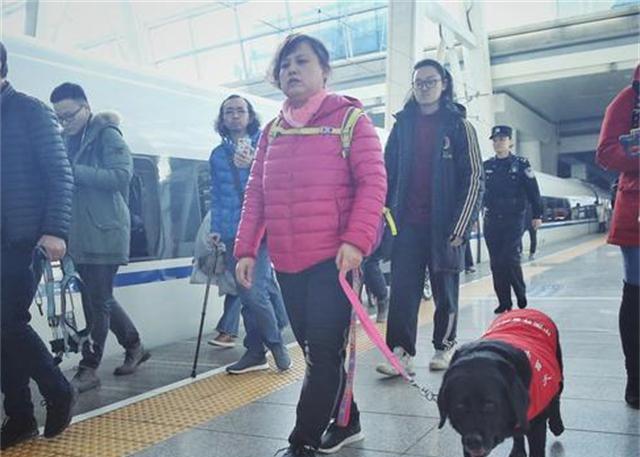 导盲犬珍妮近况:已经退役了,"有生之年"最大愿望是见到她
