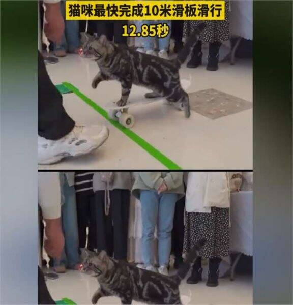 冷冻胚胎复苏图片