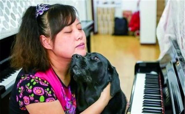 导盲犬珍妮近况:已经退役了,"有生之年"最大愿望是见到她