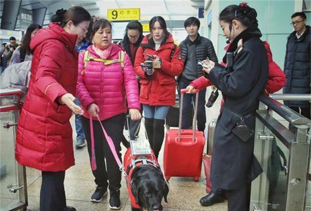 导盲犬珍妮近况:已经退役了,"有生之年"最大愿望是见到她