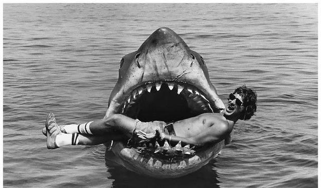 不要再以貌取鲨,长相凶残的鲨鱼其实是弱鸡,根本没那么可怕