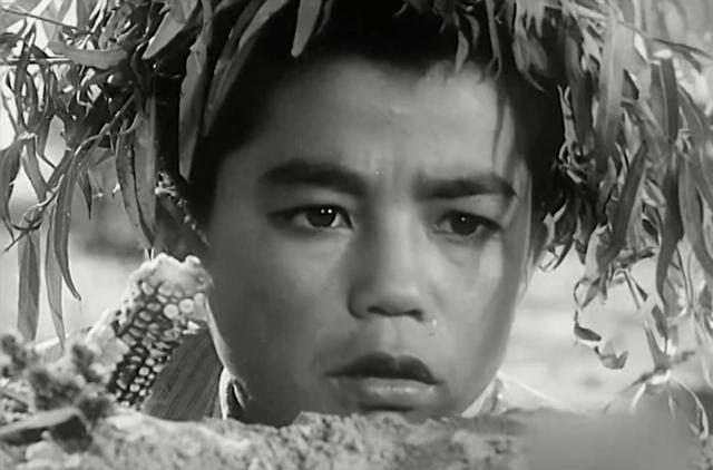 1963年,锅炉工看完《小兵张嘎》后嘀咕:堵老乡烟囱这事咱可没干
