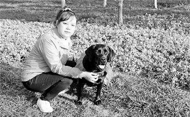 导盲犬珍妮近况:已经退役了,"有生之年"最大愿望是见到她