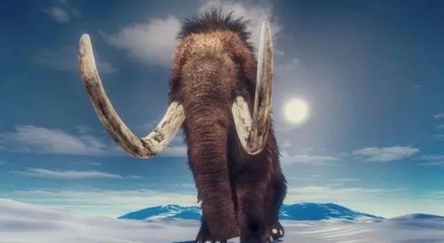 为何古人不敢动"非洲象",却选择捕杀体型更大的"猛犸象"?