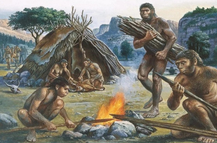 回顾:从进化来看,人类繁衍后代,男性与女性哪一方付出得更多?