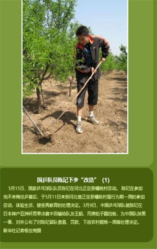 18年变迁,下乡养猪奥运冠军陈玘,今昔对比令人赞叹