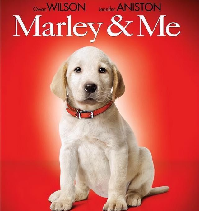 《马利和我》:这才是生活的真实写照,是甜蜜也是负担