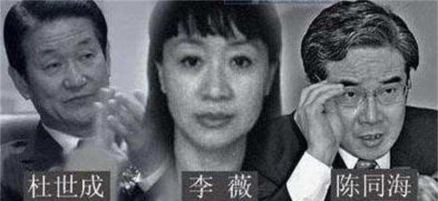 2006年越南女孩李薇被捕,她写的一本日记把中国多位高官拉下马