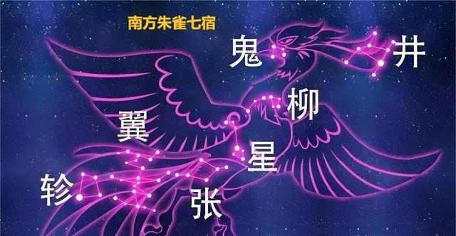 四木禽星都是什么来头,为何只有他们能降服三只犀牛精