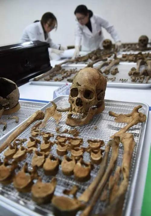 志愿军遗骸如何辨别?收集炸成碎片的武器零件,dna库鉴定骸骨