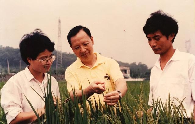 卢永根的家图片