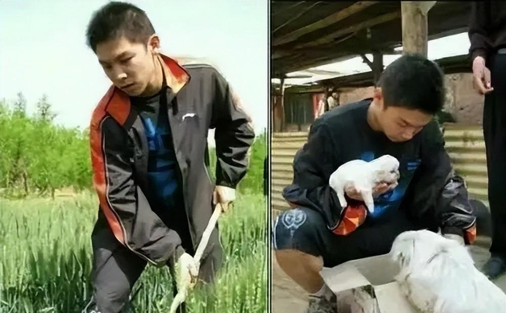 18年过去,那个下乡养猪的奥运冠军陈玘,现在过得怎么样了?