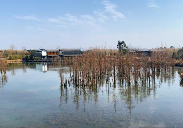 实拍成都白鹭湾湿地公园:虽有烂尾问题,但仍是市民放松的好去处