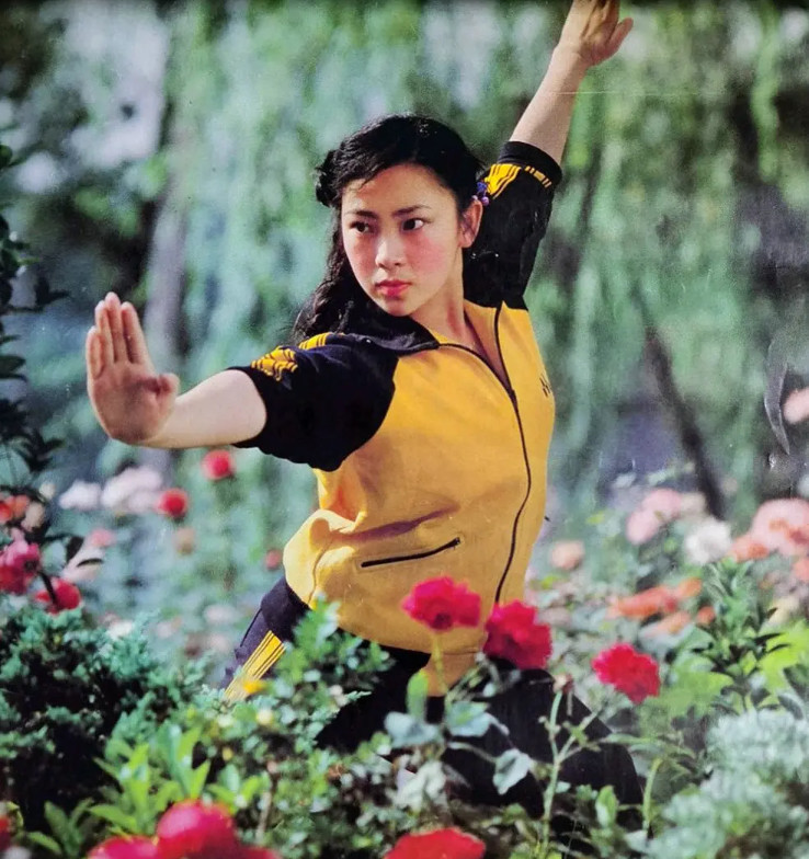 回顾:风光"过气"的内地功夫女星现状,弃国籍开饭店成武术教练