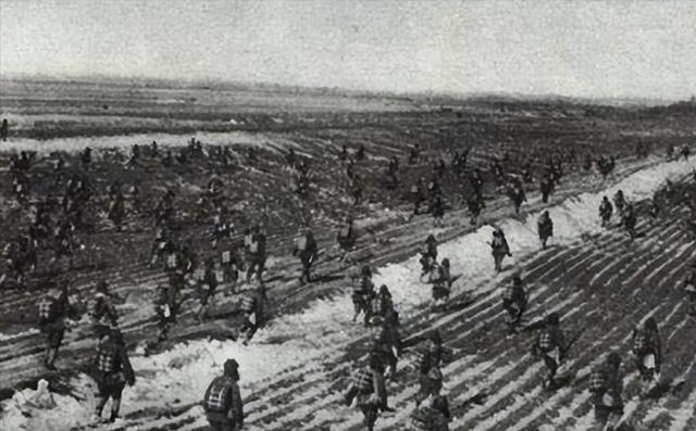 号称赵子龙师的国军第95师,最后结局如何?塔山战役给出了答案!