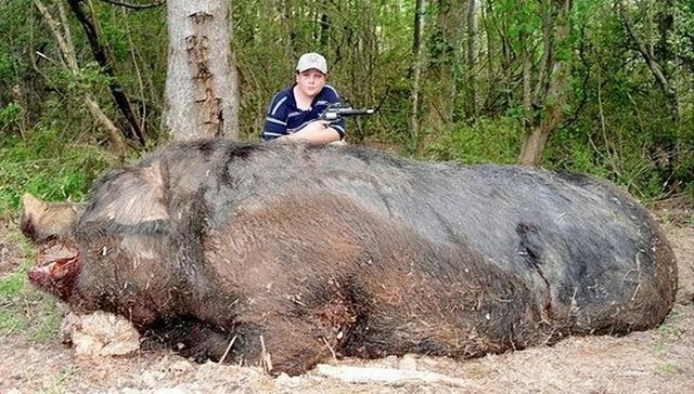 农村中传说的"扒狗子",到底是什么动物,为何如今消失不见?