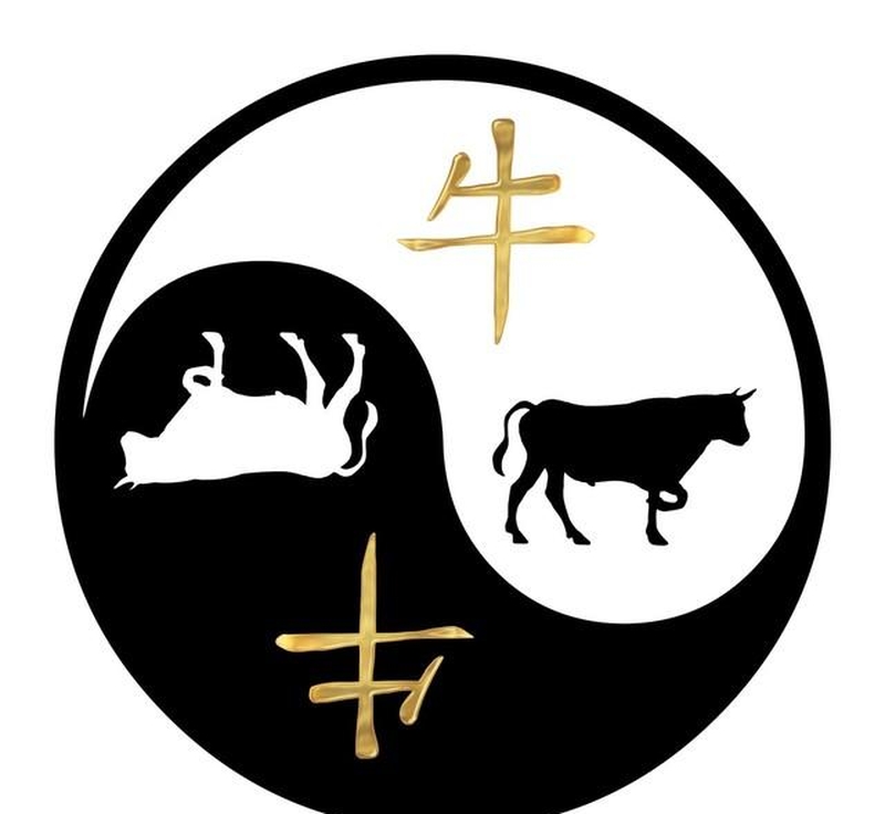 属牛人永久最幸运数字,最幸运颜色,建议长期使用!