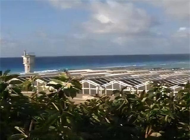 渚碧礁:南沙第二大岛,绿化开始覆盖全岛,成南海重要基地