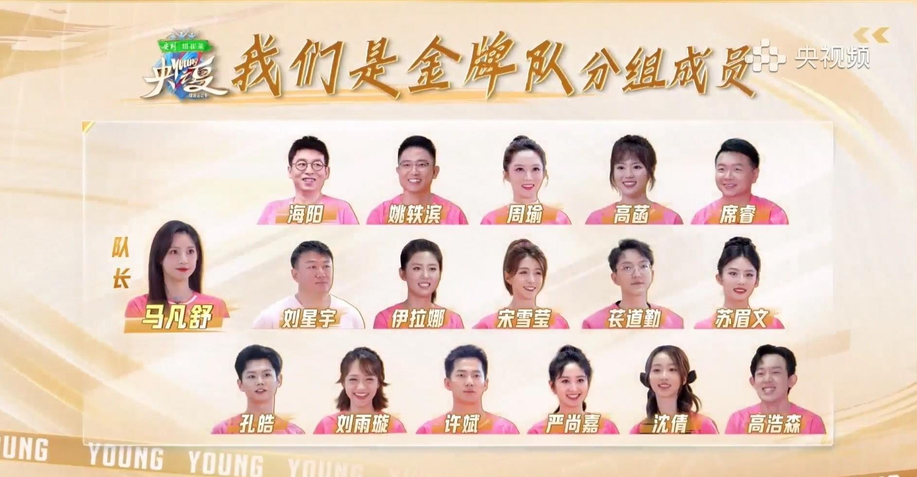 央视主持人篮球赛:鲁健队全员势不可当,马凡舒队拳脚精妙展现