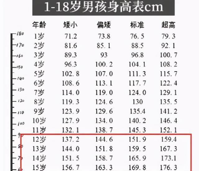 初中生身高标准图片