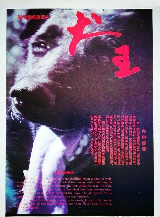 电影《犬王》:如何展现了真实生活中的冲突和挑战