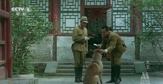 电影《犬王》:如何展现了真实生活中的冲突和挑战