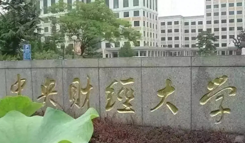 中央财经大学好就业吗(中央财经大学就业前景怎么样)