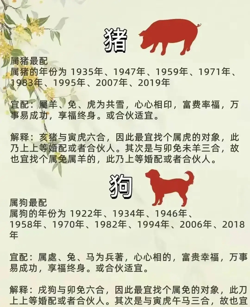 属猪的年份表图片