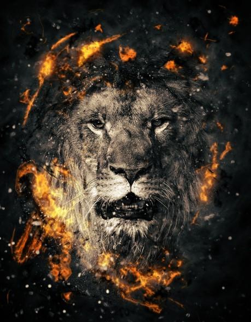 狮子座的感情受伤,如果自我治愈