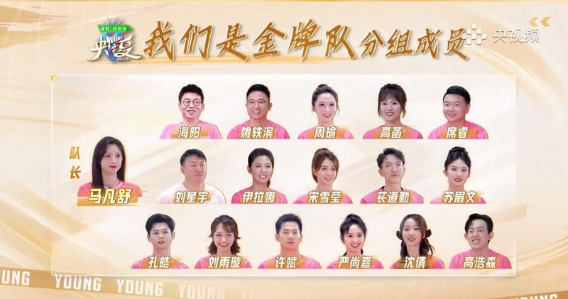 央视主持人篮球赛,鲁健队全员惊艳势在必得,马凡舒队花拳绣腿多