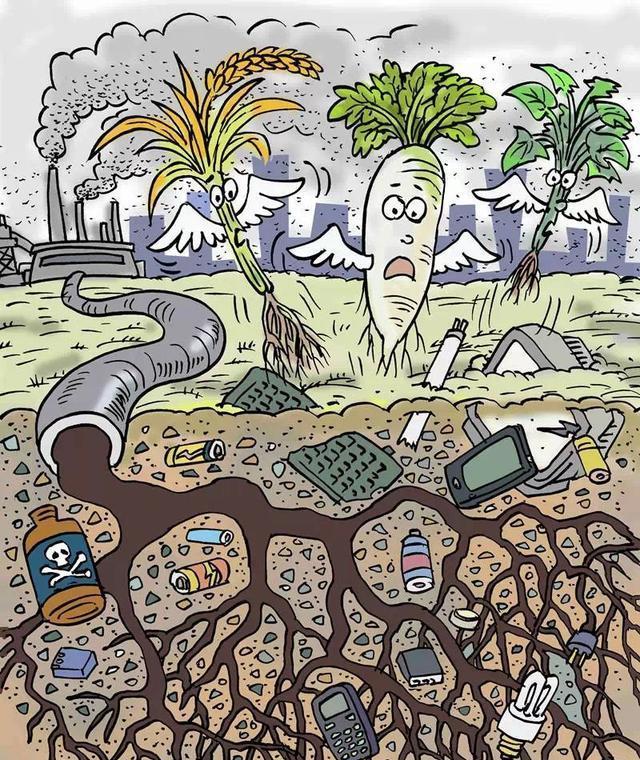 作物种植与土壤污染治理的技术创新