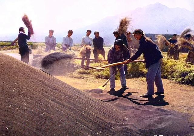 建国初期农村生活什么样,老照片给你答案,1950年的农村景象