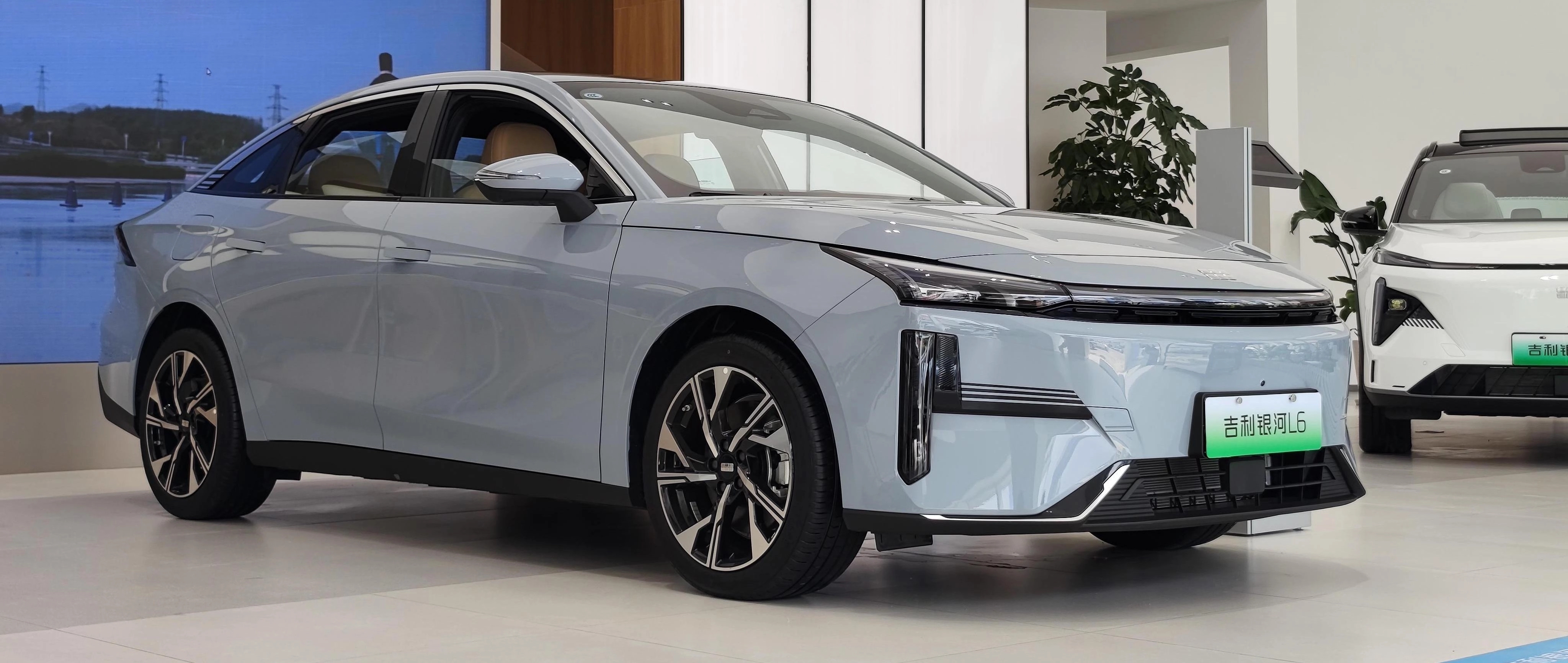 东莞36个性项目全景解析：政策背后的生活奥秘与企业生存之道