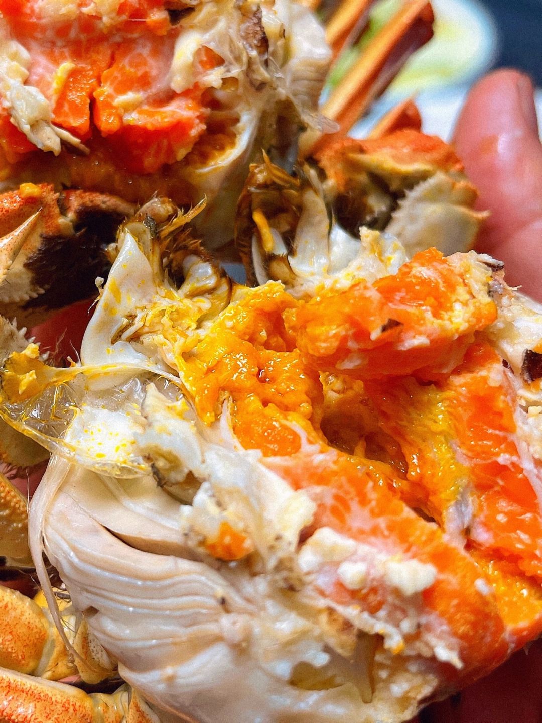 秋风起,蟹脚痒,我的味蕾已经迫不及待地迎来了它的金色盛宴!