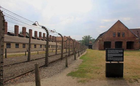 纳粹集中营:种族灭绝和纳粹政权下的暴行