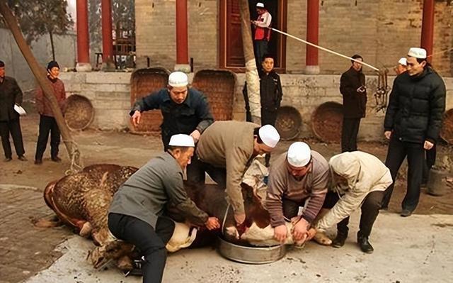 为什么清真餐厅不吃猪肉为什么在线