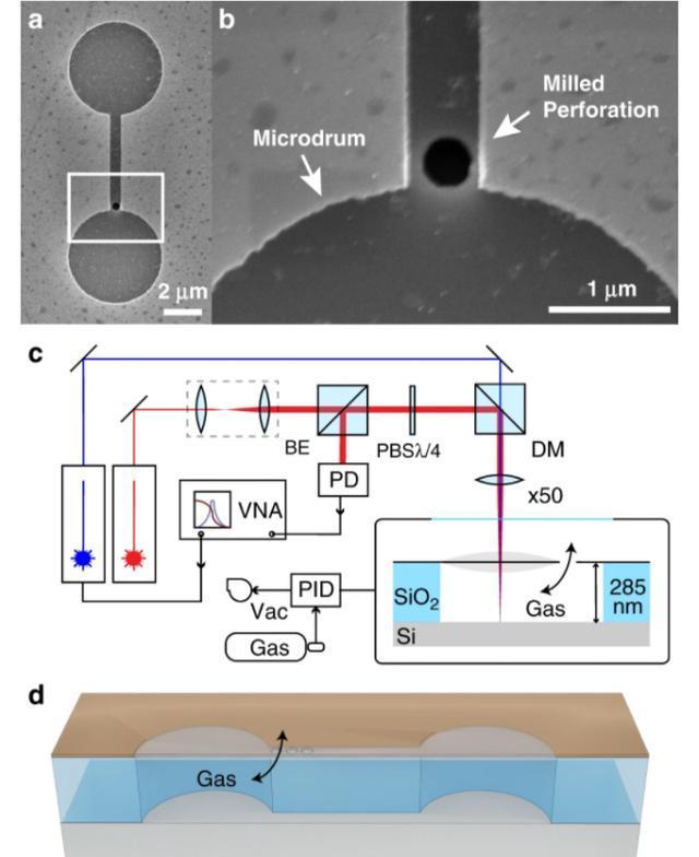 石墨烯氧化物dna传感器,对汞离子检测时,如何提高检测灵敏度?