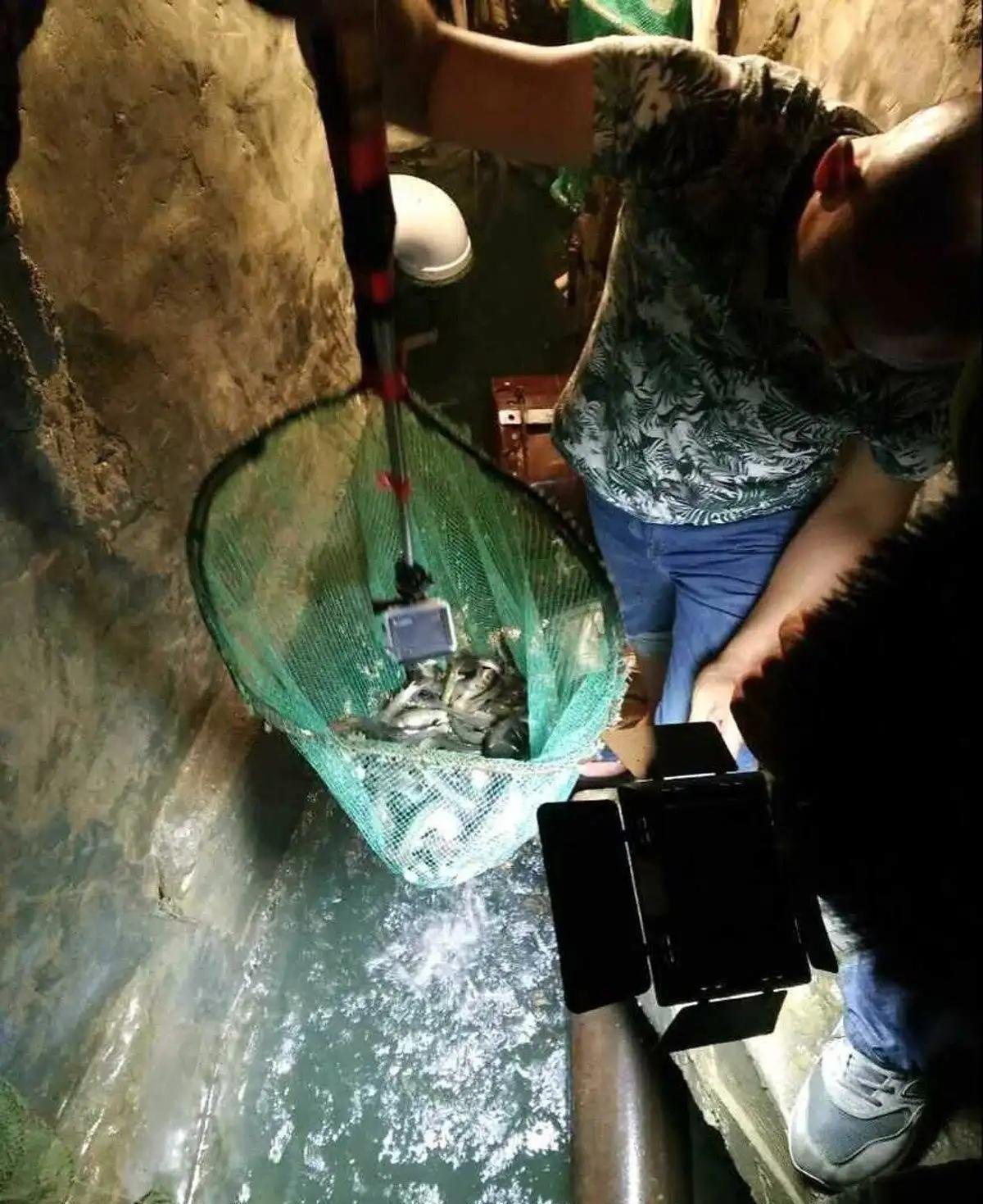 2008年,重庆男子被神仙托梦,在自家挖出鱼泉年入30万,现在如何