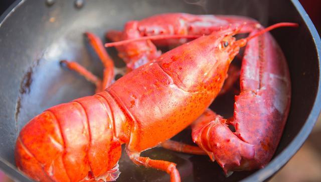 澳洲龙虾与波士顿龙虾的区别及处理步骤详解