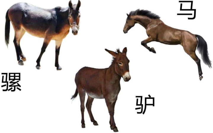 "为何一遛便知?两者有何区别?