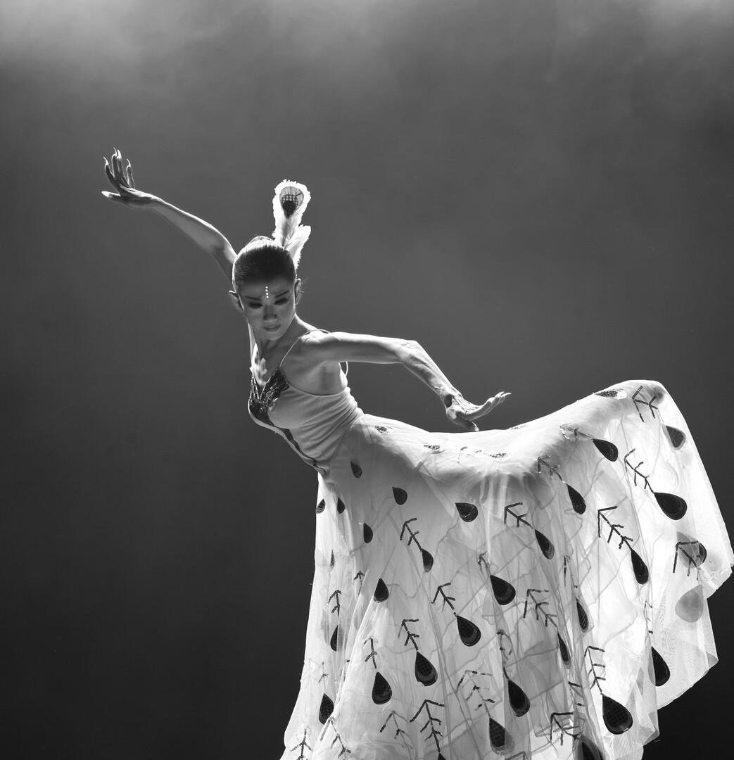 与杨丽萍分开多年后,前夫刘淳晴坚定的回到身边,无儿无女也没事