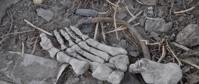 36年前,河南司机在戈壁迷路,偶然发现一具白骨,结局令人惋惜