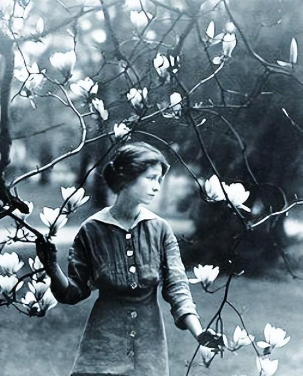 美国诗人:艾米莉·狄金森的传记