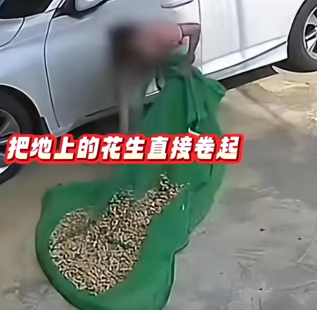 女子路过时偷别人家晒的花生,当事人:真是太没道德了!已报警!