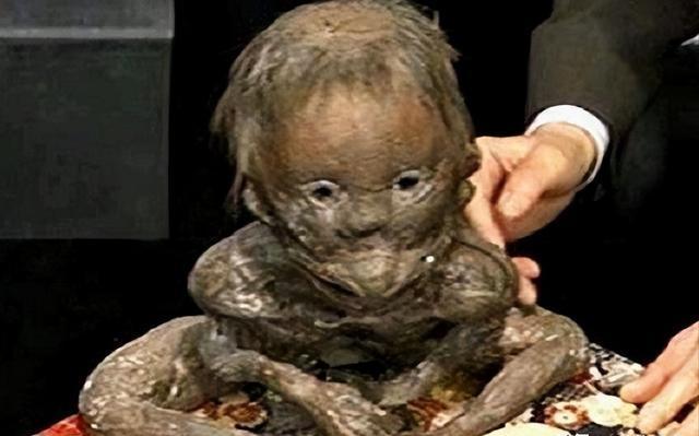 超自然生物真存在?